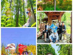 -黄海国家森林公园