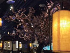 -绿茶餐厅(朝阳大悦城店)