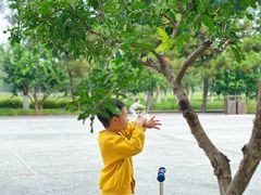-汉长安城未央宫国家考古遗址公园