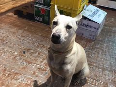 -阿飞冲浪旅店一馆