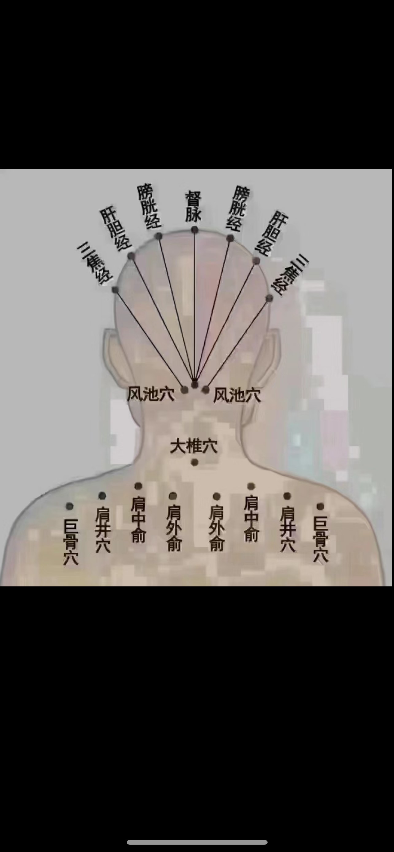 面部三焦经图片