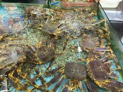 -渔民新村(番禺总店)