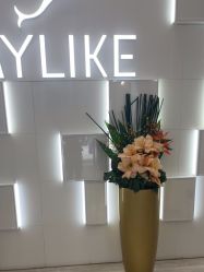 -深圳美莱医疗美容医院