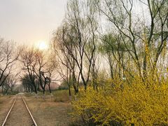 -永定河休闲森林公园