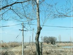 -杜氏旅游度假区