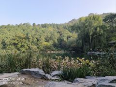-香山公园