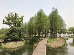 -上海佘山世茂艾美酒店