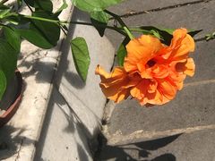 -平安桥天主教堂