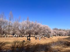 -北京奥林匹克公园