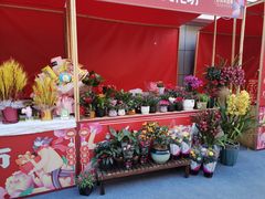 -宁波杉井奥特莱斯广场