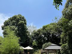 -老房子金沙元年川菜食府·花园餐厅(金沙店)