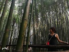 -竹泉村旅游度假区