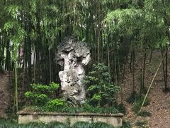 -水绘园