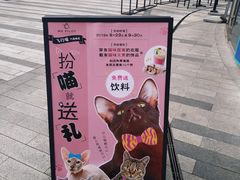 -飞行喵MR PILOT|猫舍·猫咖(静安大融城店)