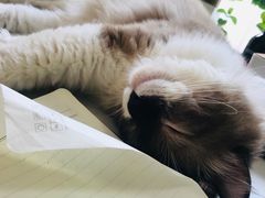 -灯塔咖啡馆BOOK·Coffee Shop