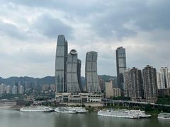 -丽晶轩中餐厅(重庆丽晶酒店)