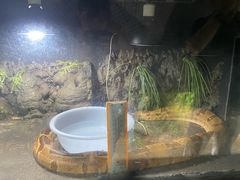 -合肥野生动物园