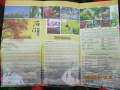 -广州市石门国家森林公园