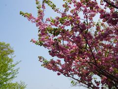-自然谷恐龙园
