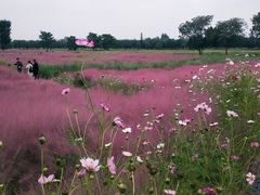 -汉长安城未央宫国家考古遗址公园