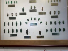 -上海昆虫博物馆