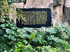 -广州兰圃