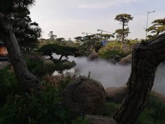 -罗红摄影艺术馆