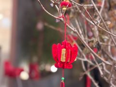 -后海16号·北京私房菜