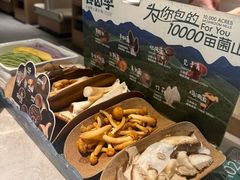 -芸山季·云南山珍菌火锅(宝能环球汇店)