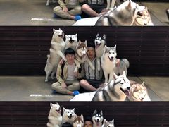 -TrueLove @ Neverland (Husky Cafe)