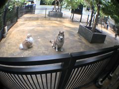 -TrueLove @ Neverland (Husky Cafe)