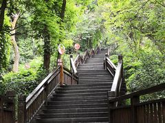 -天鹿湖森林公园