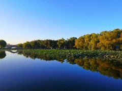 -长春公园(普阳街道)