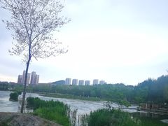 -前关湿地公园