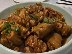 金色圆蹄-峨嵋一派