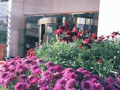 -官房大酒店-玉龙旋宫观景餐厅