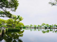 -无锡蠡湖国家湿地公园-蠡园