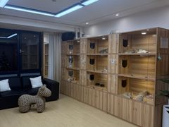 -猫十亿·布偶金渐层·曼基康矮脚猫舍(青年路店)