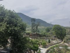 -缙云山景区