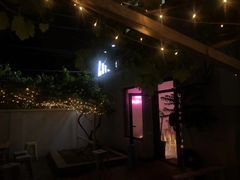 -ZING鲸鱼啤酒(葡萄院店)