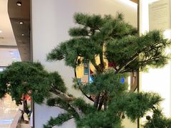 -望湘园·洞庭渔宴(永旺店)