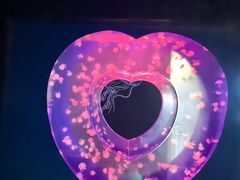 -海合安武汉极地海洋公园