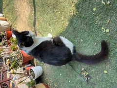 -尚庄度假村·庭台树下·户外烧烤·团建CS·轰趴营地(上庄水库店)