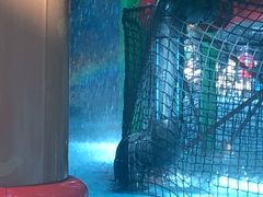 -青岛东方影都融创水世界