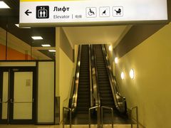 -谢列梅捷沃国际机场