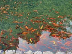 -楠溪江风景名胜区