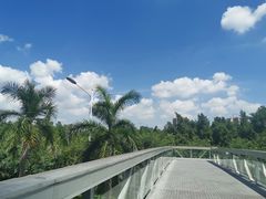 -南宁南湖公园