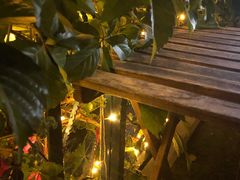 -Sirena海妖日咖夜酒