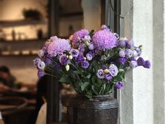 -Apollo·西班牙小酒馆(安福路店)
