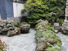 -寂照庵